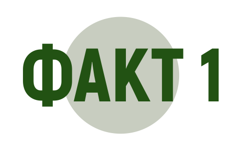 факт 1