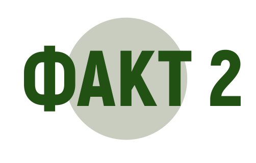 Факт 2