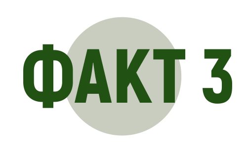 Факт 3