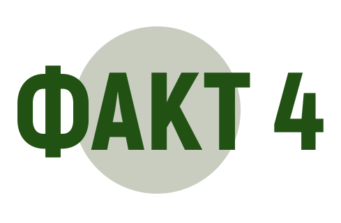Факт 4