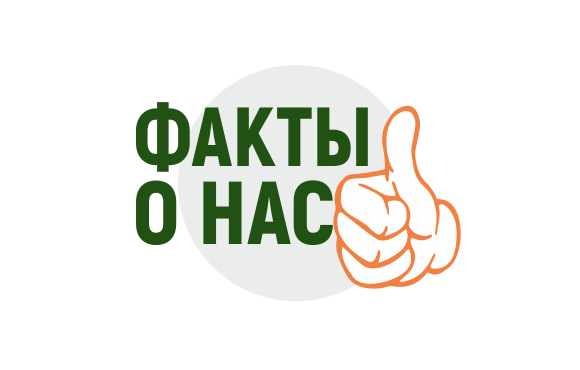Факты о нас