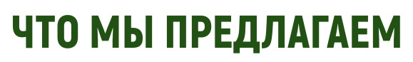 Что мы предлагаем