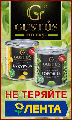 240H400_Lenta_Gustus3