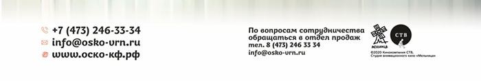 +7(473) 246-33-34
