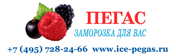 shapka_pegas
